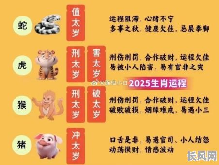 2025年正月属猪吉日全解析：精选吉日一览表