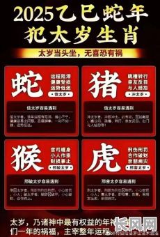 2025年揭秘：吉日克木所属公司大揭秘