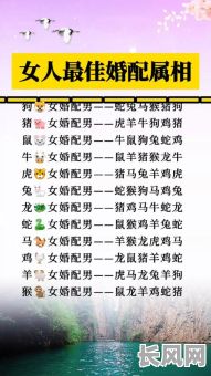 2025年属鸡男与属猴女婚嫁吉日精选：幸福启程的完美时刻