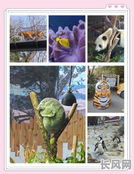 2025年动物园开业吉日精选：打造吉祥开园新纪元