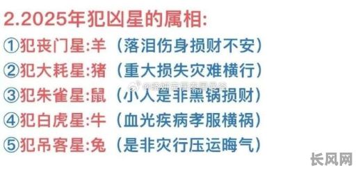 2025年：吉日凶时下葬的利弊分析，传统文化与现代观念的碰撞