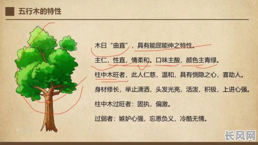 天木虚命格是缺木吗？这是否意味着五行中木的不足？