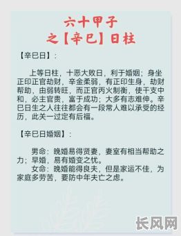 巳时八字命理解析详解，如何深入理解其奥秘？