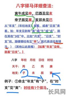 八字中双驿马对女命运势有何影响?