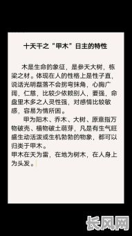 甲木生人的八字命理究竟怎么样？有何特点和影响？