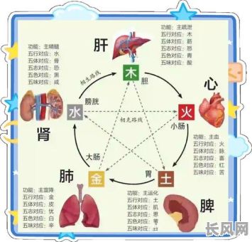 八字命理中缺金木的人应该怎样进行补充？如何调理八字命理中的金木不足？