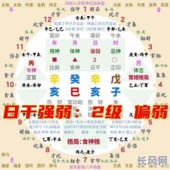 日主八字弱，特殊命格有哪些特点与应对策略？