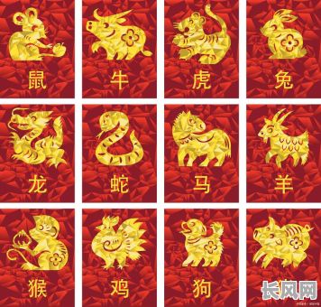 属鼠女的命格究竟属于哪个属相？