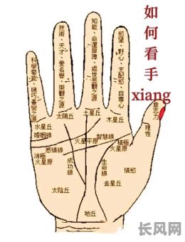 手相五条线究竟代表着怎样的命格？是吉是凶？