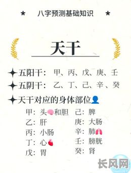 如何看懂命里八字命理?如何深入理解八字命理的奥秘?