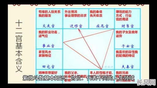 命理学中紫薇命格究竟代表什么？有何特殊含义？