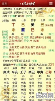 己酉丁酉八字命理详解，如何深入理解其奥秘与精髓？