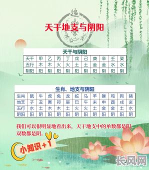 戊戌乙丑甲寅五行命格究竟有何奥秘？