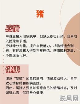 属猪九月男性命格究竟如何？他的命运特点有哪些？