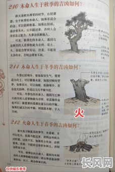 八字火命很旺的女孩，命运如何？有哪些独特特质？