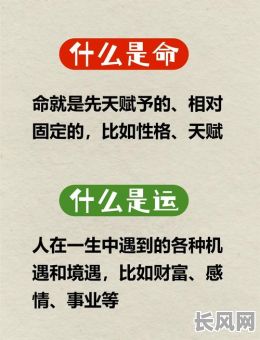 1988年8月11日命格究竟有何特殊？揭秘这一日子的命运奥秘