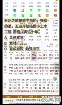 甲寅辛未八字命理分析：如何准确解读甲寅辛未八字？