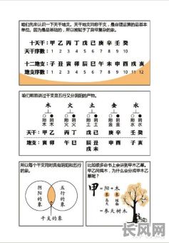 儿童生辰八字命理学解析，如何准确解读孩子的命运奥秘？