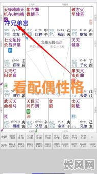 如何从八字命盘准确判断婚姻宫,有哪些方法与技巧?