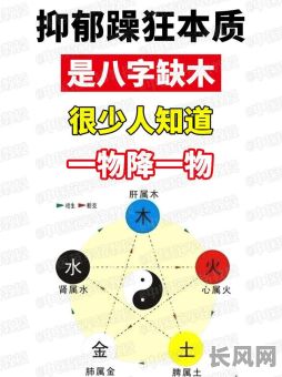 八字中代表木的字有哪些?这些字在八字中具体指什么?