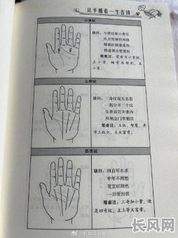 如何通过手相准确判断自己的命格？怎么看手相来了解自己的命运走向？