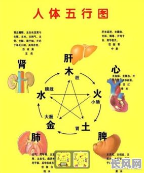 八字土金两旺命理，如何平衡五行以趋吉避凶？