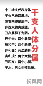 如何运用八字来改变自己的命运？