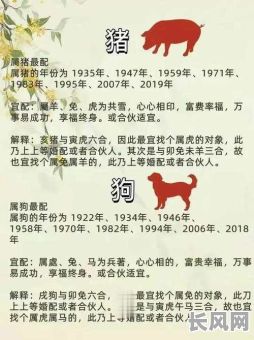 命格最贵的生肖组合究竟是谁？揭秘生肖配对中的顶级组合！