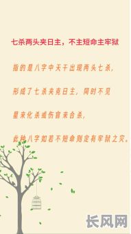 叶继欢的八字命理详解，有哪些关键点值得关注？