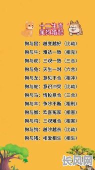 生肖狗的性格和命格具体是怎样的？它们又有哪些特点？