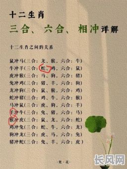 哪些生肖的女生命格高？命格高的生肖女生有哪些？