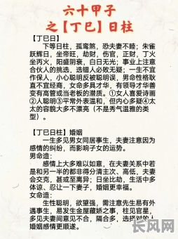 己巳日柱女命解析，八字详解有何独特之处？