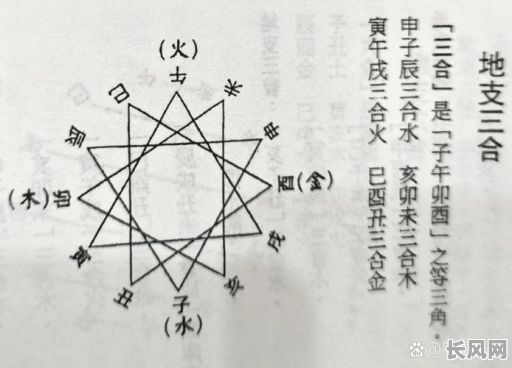 女命八字中地支丑和巳分别代表什么含义？