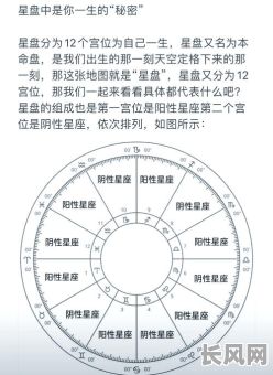 1984年11月命格究竟有何特殊之处？揭秘这一月生的命运奥秘