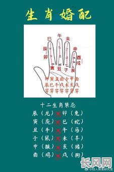 女命八字丁未辛亥壬辰,如何解读其命运走向?