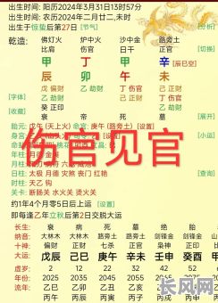 八字五个伤官男命该如何应对和化解？