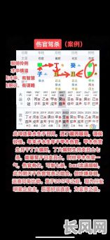 八字命格中无食神而独有伤官，这是否影响命运走向？