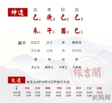 女命八字大运财运详解大全，如何全面掌握？