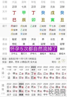 双丑入命的八字具体是怎样的？包含哪些要素？