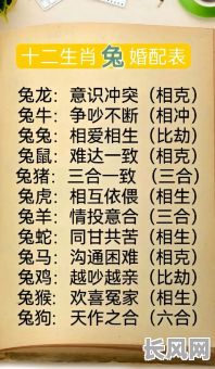 1987年属兔女命格婚姻有何特点？婚姻运势如何？