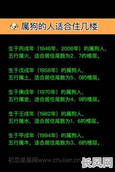属狗的人究竟拥有哪种命格，命运才会格外美好？