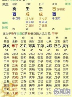 1993年腊月初一命格究竟有何特点？其命运走向如何？