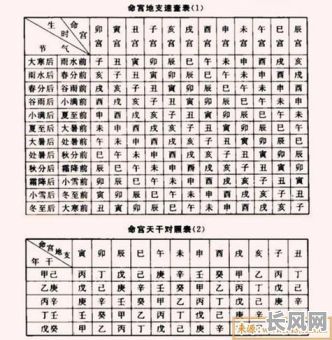 八字命理师阿信的水平如何？他的命理分析准确吗？