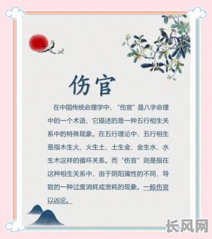 伤官格男命与哪种女命相配最为和谐？