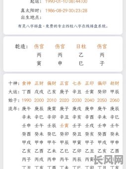 生辰八字命盘查询免费算命，如何准确获取我的命盘信息？