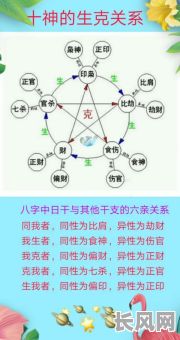 四柱八字和命理学究竟有何奥秘？它们之间有何关联？