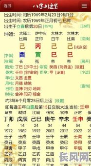 己巳丁卯壬午八字命理分析：如何解读己巳丁卯壬午八字中的命运奥秘？