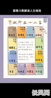 张紫微这个名字的命格究竟如何？其命运走向有何特点？
