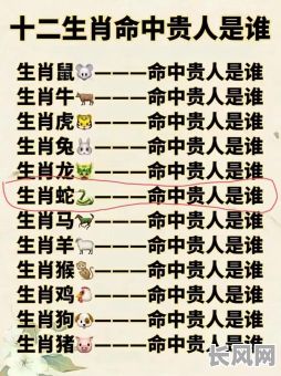 上等的命格究竟蕴含多少财富？