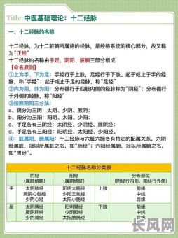 经络与八字命理究竟有何关联？它们之间真的存在联系吗？